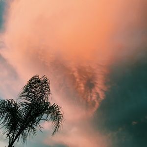 Meet your Posher, Lydia